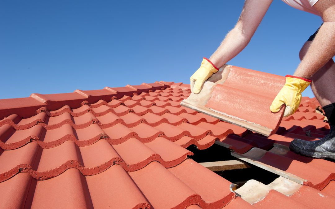 Roof Life: 8 Telltale Signs You Need a New Roof