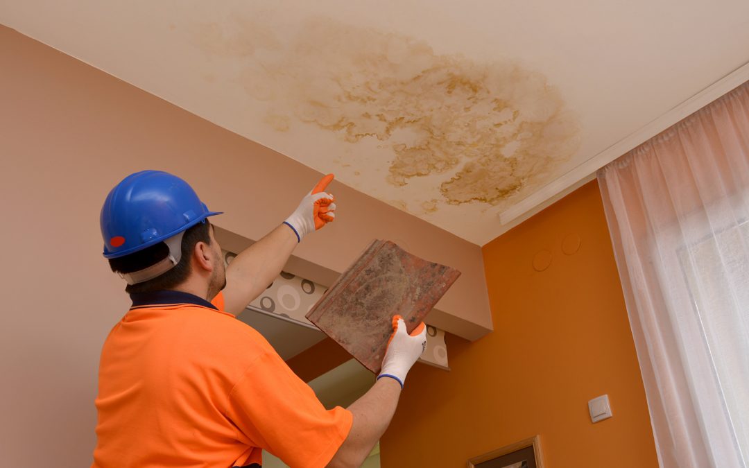 How Bad Is It, Doc? The Most Serious Problems Your Home Inspector Could Find