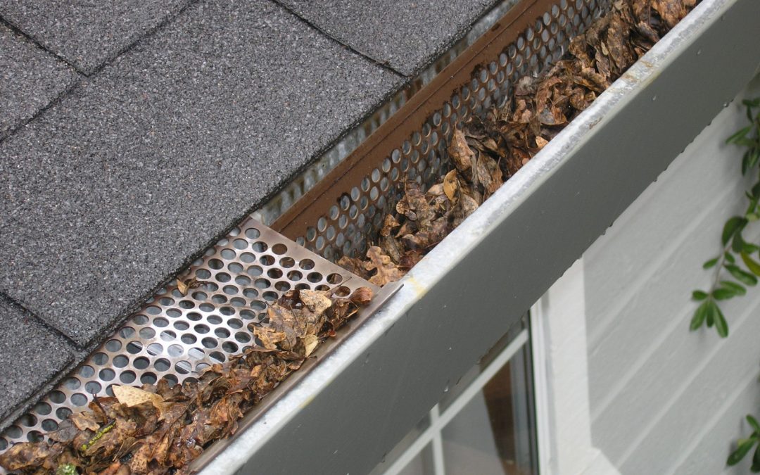 Should You Repair or Replace Gutters?